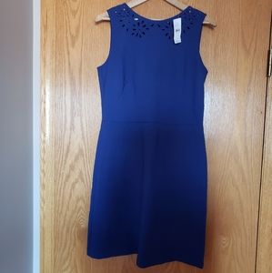 Loft Blue Dress - Size 4 BNWT